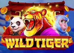 Winner lucky_boy21 at Royals Tiger Casino